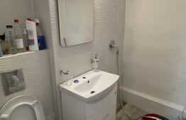 Apartament renovat complet, parter, potrivit pentru locuire