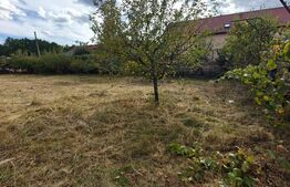 Teren intravilan 1.045 mp | Front 26 ml | Toate utilitatile | Asfalt