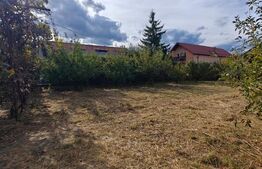Teren intravilan 1.045 mp | Front 26 ml | Toate utilitatile | Asfalt