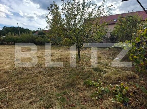 Teren de vânzare Rolast - 206832TV | BLITZ Pitești | Poza4