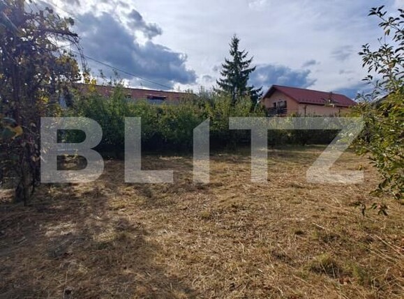 Teren de vânzare Rolast - 206832TV | BLITZ Pitești | Poza5