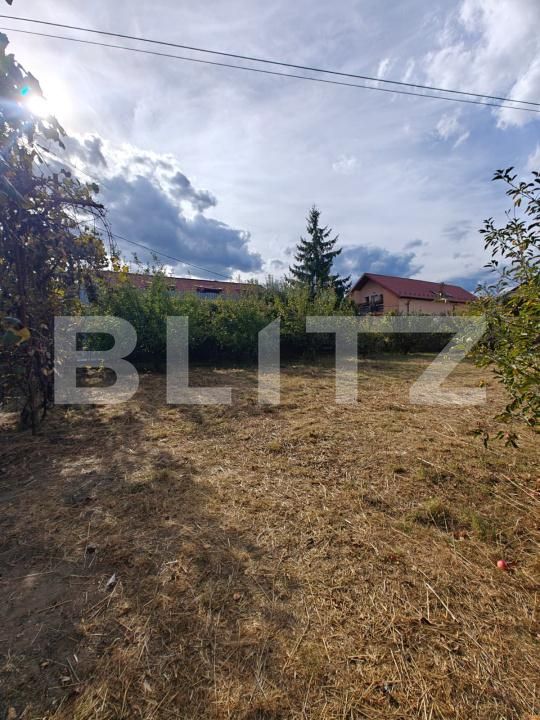Teren de vânzare Rolast - 206832TV | BLITZ Pitești | Poza5