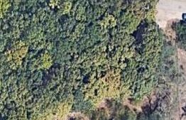 Teren intravilan 6.000 mp | Parcelabil | Teren plan | Padure