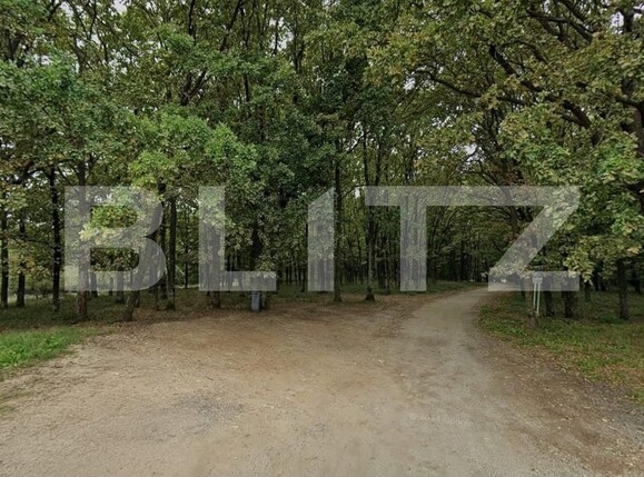 Teren de vânzare Gavana - 206841TV | BLITZ Pitești | Poza2