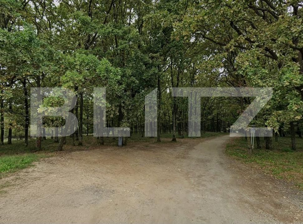 Teren de vânzare Gavana - 206841TV | BLITZ Pitești | Poza2