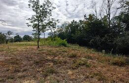 Teren intravilan 2.595 mp | 2 fronturi | Utilități in zona | Negociabil 