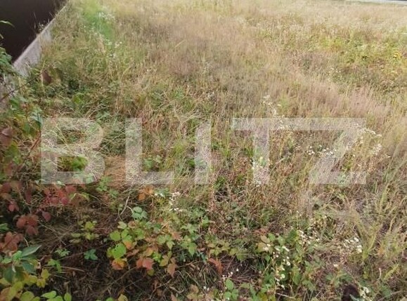 Teren de vânzare Mosoaia - 206955TV | BLITZ Pitești | Poza2