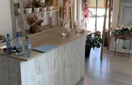 Spațiu birouri de închiriat Exercitiu - 207509SIB | BLITZ Pitești | Poza2