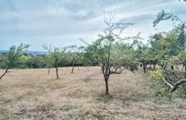 Teren intravilan 1.693 mp, oportunitate investitie, Geamana