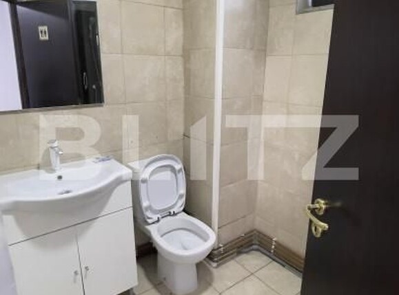 Spațiu birouri de închiriat Fratii Golesti - 207173SIB | BLITZ Pitești | Poza13