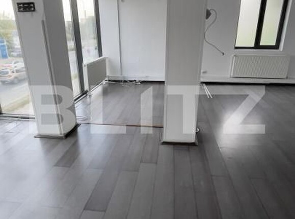 Spațiu birouri de închiriat Fratii Golesti - 207173SIB | BLITZ Pitești | Poza1