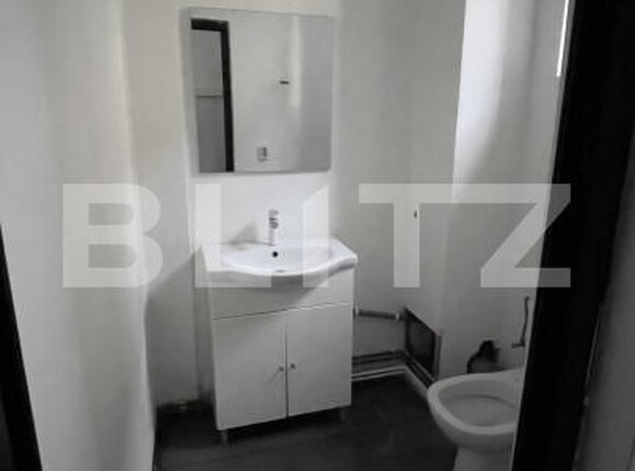 Spațiu birouri de închiriat Fratii Golesti - 207173SIB | BLITZ Pitești | Poza5