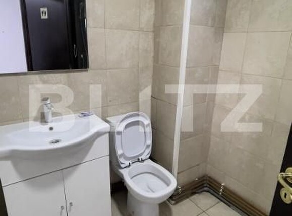Spațiu birouri de închiriat Fratii Golesti - 207173SIB | BLITZ Pitești | Poza14