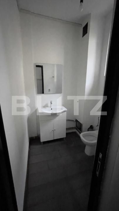 Spațiu birouri de închiriat Fratii Golesti - 207173SIB | BLITZ Pitești | Poza5