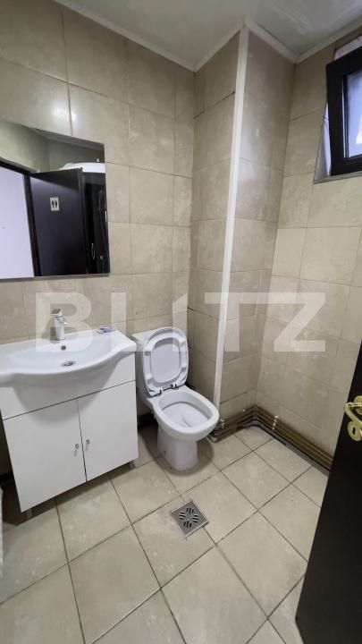 Spațiu birouri de închiriat Fratii Golesti - 207173SIB | BLITZ Pitești | Poza14