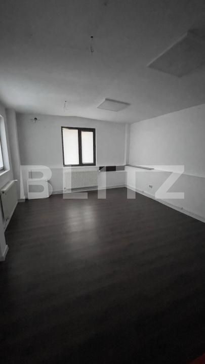 Spațiu birouri de închiriat Fratii Golesti - 207173SIB | BLITZ Pitești | Poza9