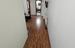 Studio de inchiriat, 60 mp, zona Ultracentral | Negociabil