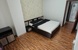 Studio de inchiriat, 60 mp, zona Ultracentral | Negociabil