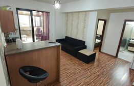 Studio de inchiriat, 60 mp, zona Ultracentral | Negociabil