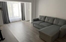 Apartament de închiriat 2 camere Mioveni - 208987AI | BLITZ Pitești | Poza2