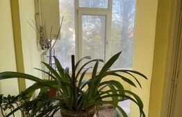 Apartament 2 camere, 50 mp, Gavana 2
