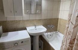 Garsonieră transformată în 2 camere, mobilată și utilată complet, Frații Golești