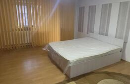 Garsonieră transformată în 2 camere, mobilată și utilată complet, Frații Golești