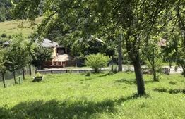 Teren intravilan, 1000 mp, zona Centrală - Băbana
