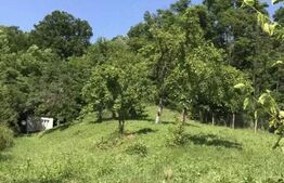 Teren intravilan, 1000 mp, zona Centrală - Băbana