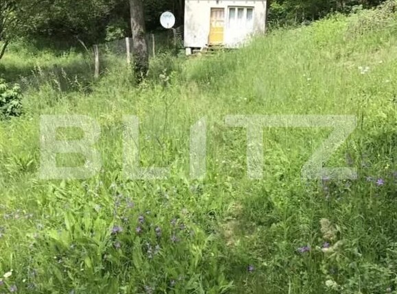 Teren de vânzare Babana - 208484TV | BLITZ Pitești | Poza2