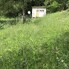 Teren de vânzare Babana - 208484TV - Poza 1 din 3 | BLITZ Pitești | Poza1