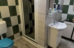 Vilă P+M cu 3 dormitoare, curte amenajată și utilități complete, Mărăcineni
