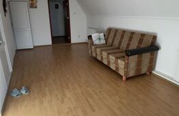 Vilă P+M cu 3 dormitoare, curte amenajată și utilități complete, Mărăcineni