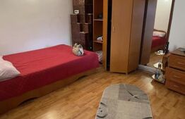 Vilă P+M cu 3 dormitoare, curte amenajată și utilități complete, Mărăcineni