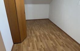 Vilă P+M cu 3 dormitoare, curte amenajată și utilități complete, Mărăcineni