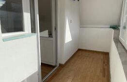 Vilă P+M cu 3 dormitoare, curte amenajată și utilități complete, Mărăcineni