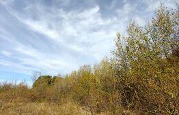 Teren intravilan, 5.000 mp, zona Centrală - Băbana