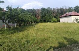 Teren intravilan, 1070 mp, zona Centrală - Băbana