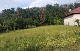 Teren intravilan, 1070 mp, zona Centrală - Băbana