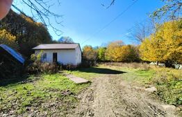 Teren intravilan, 3600 mp, zona Bascov