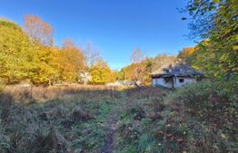 Teren intravilan, 3600 mp, zona Bascov