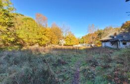Teren intravilan, 3600 mp, zona Bascov