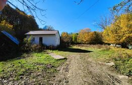 Teren intravilan, 3600 mp, zona Bascov