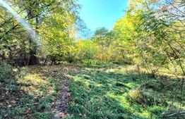Teren intravilan, 3600 mp, zona Bascov