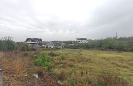 Teren intravilan, 6.000 mp, zona Geamăna