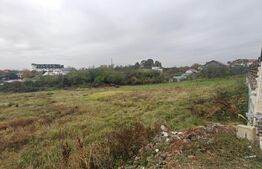 Teren intravilan, 6.000 mp, zona Geamăna