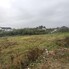 Teren de vânzare Geamana - 209558TV - Poza 1 din 3 | BLITZ Pitești | Poza2
