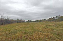Teren intravilan, 5000 mp, zona Băbana