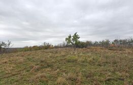 Teren intravilan, 5000 mp, zona Băbana