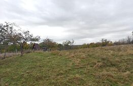Teren intravilan, 5000 mp, zona Băbana